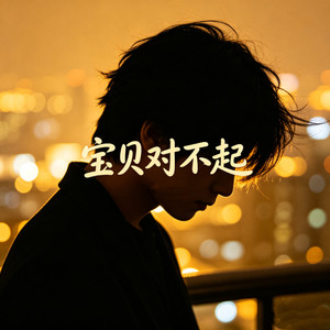 宝贝对不起-烟嗓小爷
