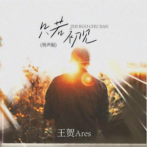 王贺Ares - 只若初见 (男声版)