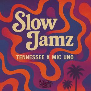 SLOW JAMZ (Shoot My Shot) (feat. MIC UNO & Tennessee!)