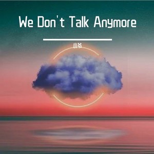 We Don't Talk Anymore