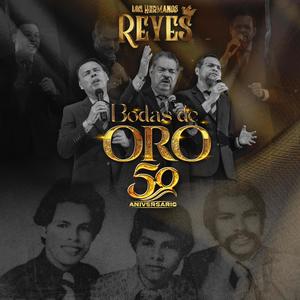 Bodas de Oro 50 Aniversario