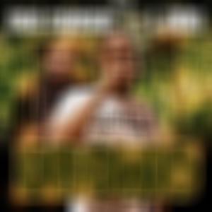 Money Is The Motivation (Explicit)
