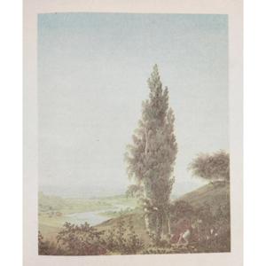 Un món que portava a dins (Píldora Imperfecta)