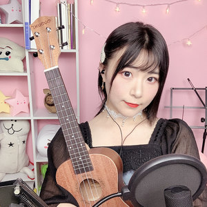 你是我心内的一首歌