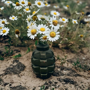 Огонь, вода и медные трубы