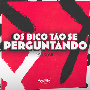 Os Bico Tão Se Perguntando (Explicit)