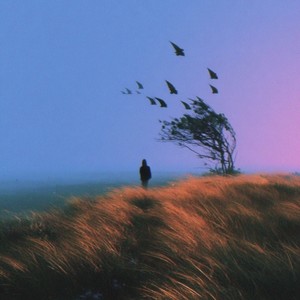 风的季节 (老舅funk)