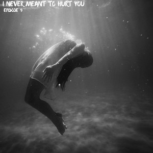 I Never Meant To Hurt You