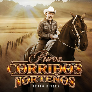 Puros Corridos Norteños