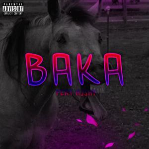 BAKA (feat. Hjshy) [Explicit]