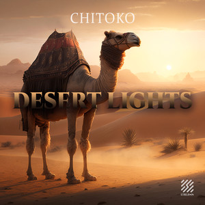 Desert Lights (Explicit)