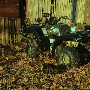 MR. CRACKHEAD IS MY FATHER'S NAME (feat. Danny Frost) (Explicit)