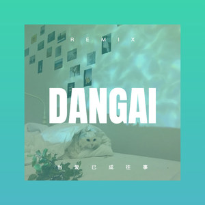 如果有一天 (DJ版)