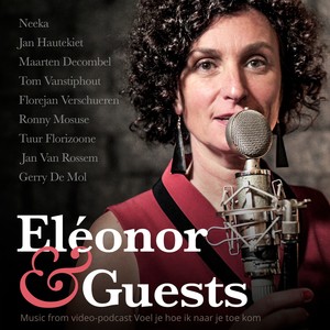 Verdronken Land(feat. Maarten Decombel)