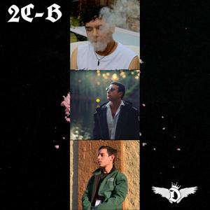 2C-B (Slowed Down) (Explicit)