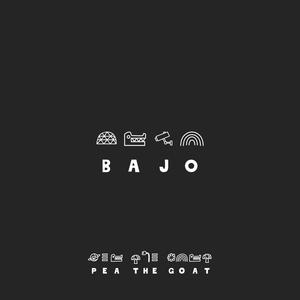 Bajo (feat. Audience Economy) (Explicit)
