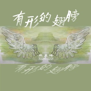 有形的翅膀