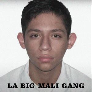 LA BIG MALI GANG, Vol. 1