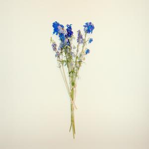 La Belle et l'Aveugle