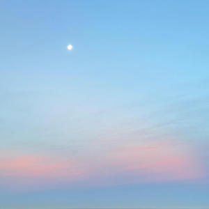 you & me (feat. Ciscaux)