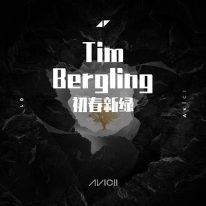AVICII FOREVER