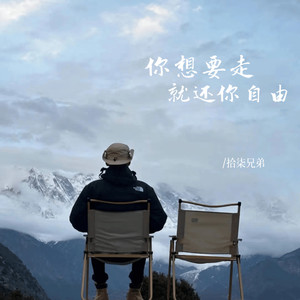 你想要走就还你自由