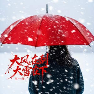 大风在刮大雪在下 (新版)