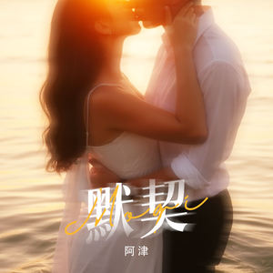 默契 (由始至终只爱你一位)