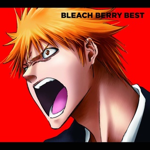 BLEACH BERRY BEST