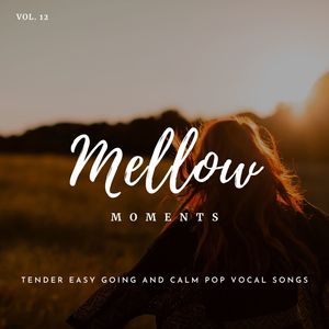 Mellow Moments - Tender Easy Going And Calm Pop Vocal Songs, Vol. 12