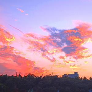 1月13日 下午12点39分