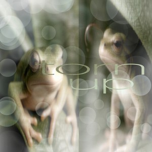 Torn Up (Cav3y Cut|Explicit)