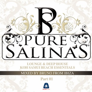 Pure Salinas, Vol. 2 (Compiled By Bruno from Ibiza)