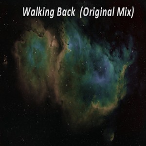 Walking Back (Original Mix)