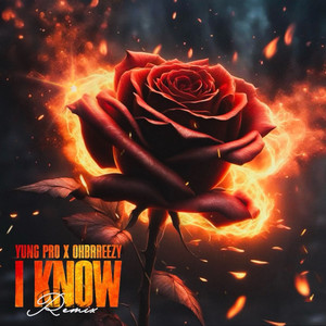 I Know (Remix) [Explicit]