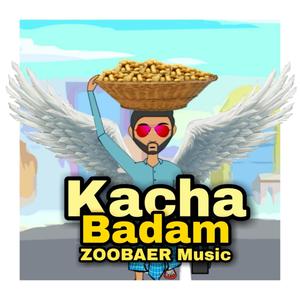 Kacha Badam Instrument