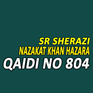 Qaidi No 804