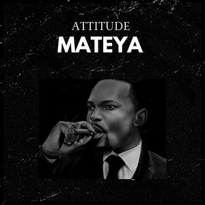 Attitude