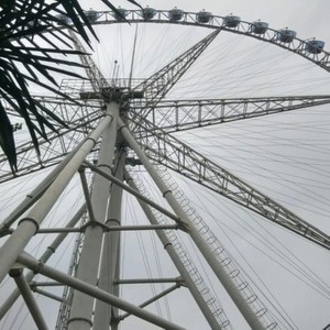 十年戎马心孤单