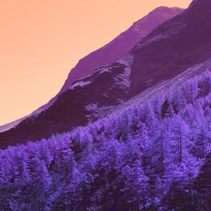 stepback (feat. nplsm & LuLeLozK)