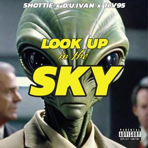 Look Up in the Sky (Explicit)