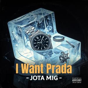JOTA MIG - I Want Prada