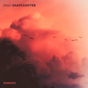 Shapeshifter (Tim Branch Remix)