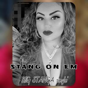 STANG ON EM (pull up on me) (feat. BIG STANGA) [Explicit]