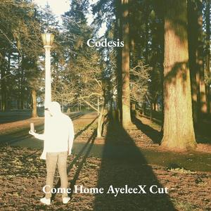 Come Home (AyeleeX Remix)
