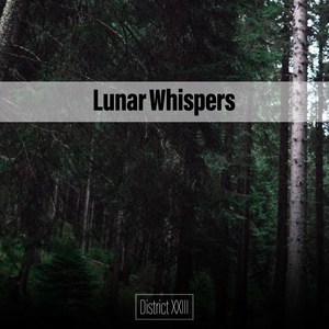 Lunar Whispers District XXIII