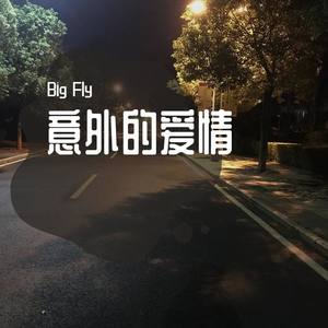 San E-意外，却爱（prod by San E) (Big Fly remix)