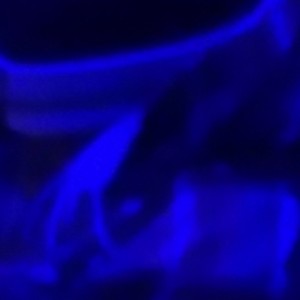 The Book Of Percules(feat. Percules & Tommy Loud) (Explicit)