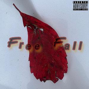 Free Fall (Explicit)