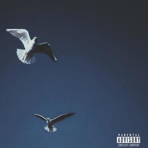 Two Birds II (Explicit)